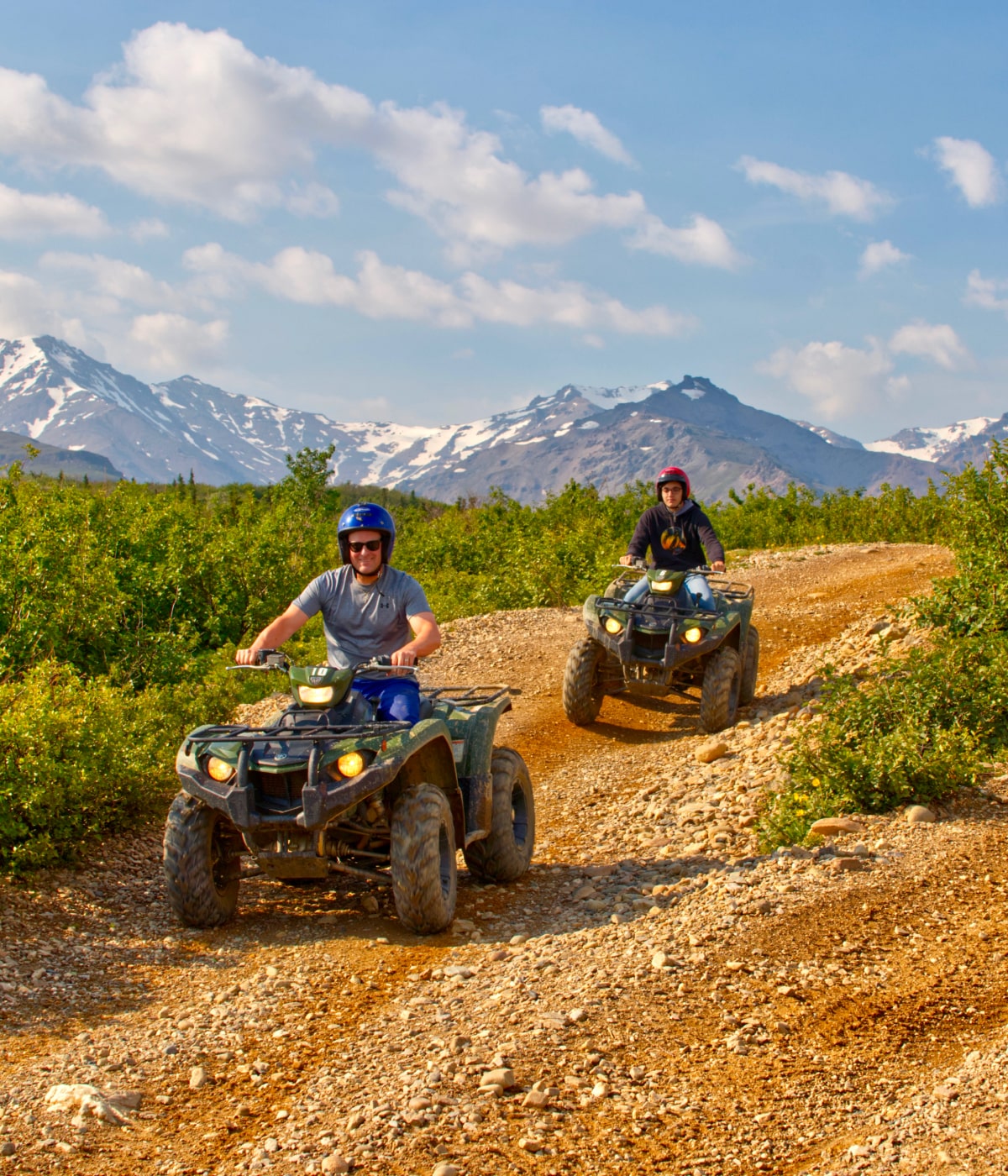 denali wilderness tour