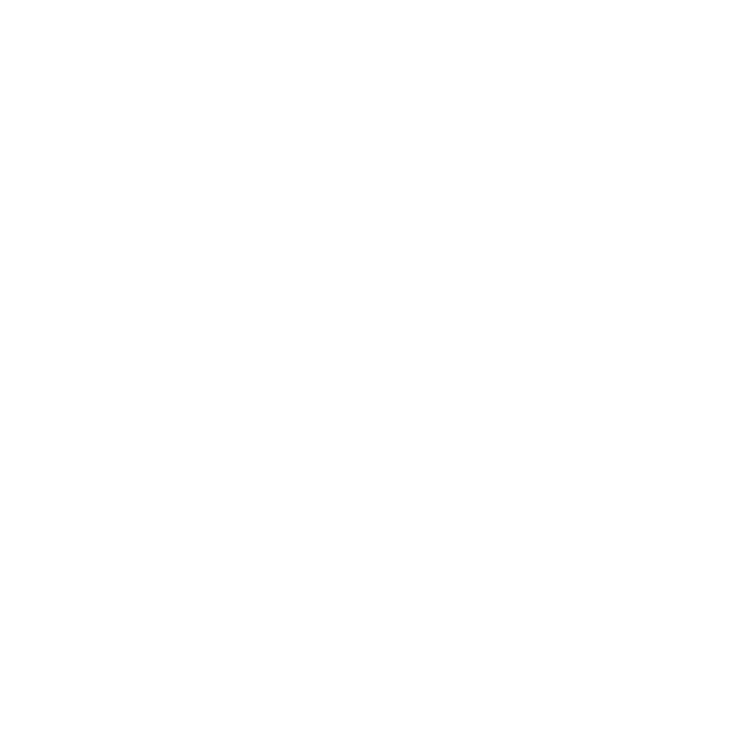 denali wilderness tour