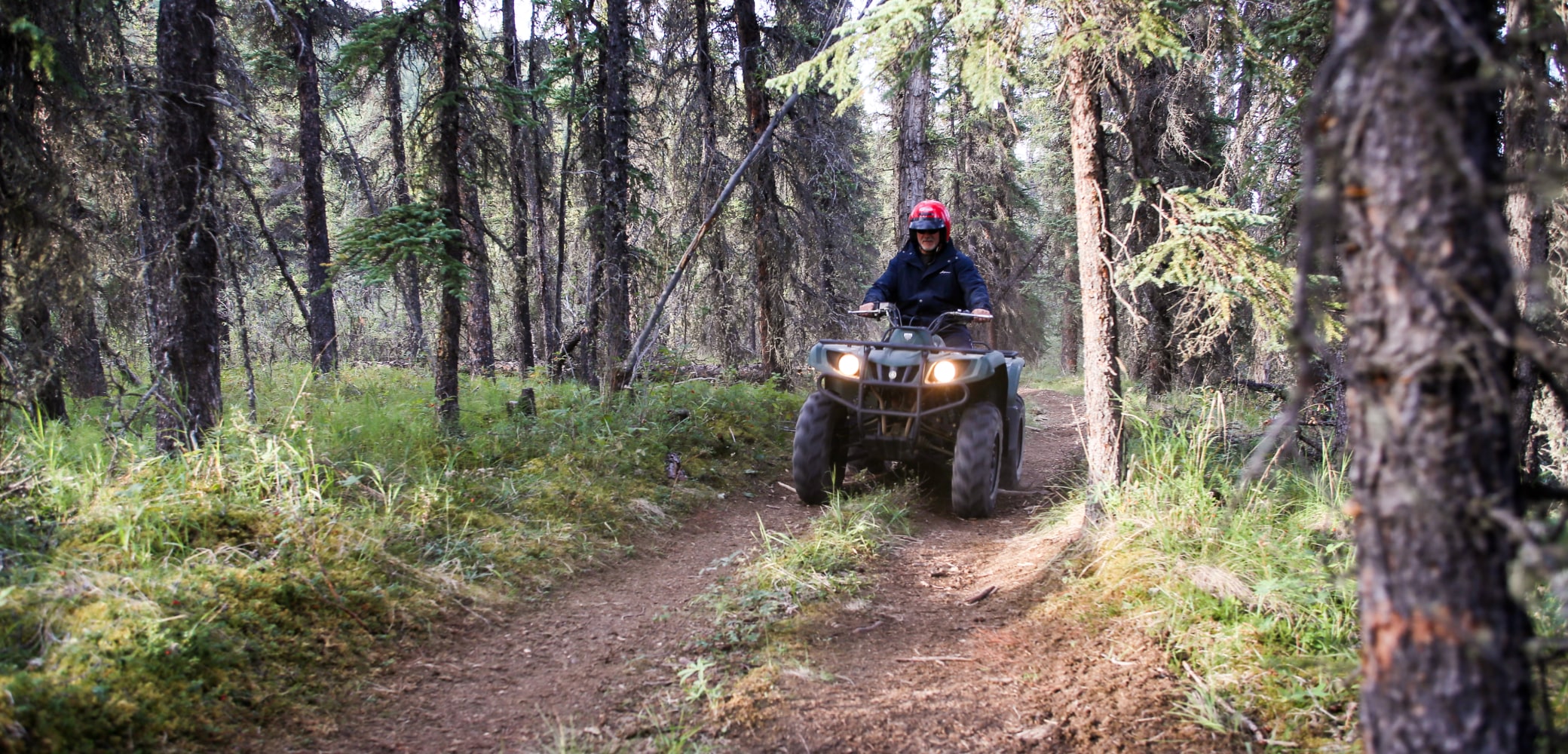 denali private atv tour