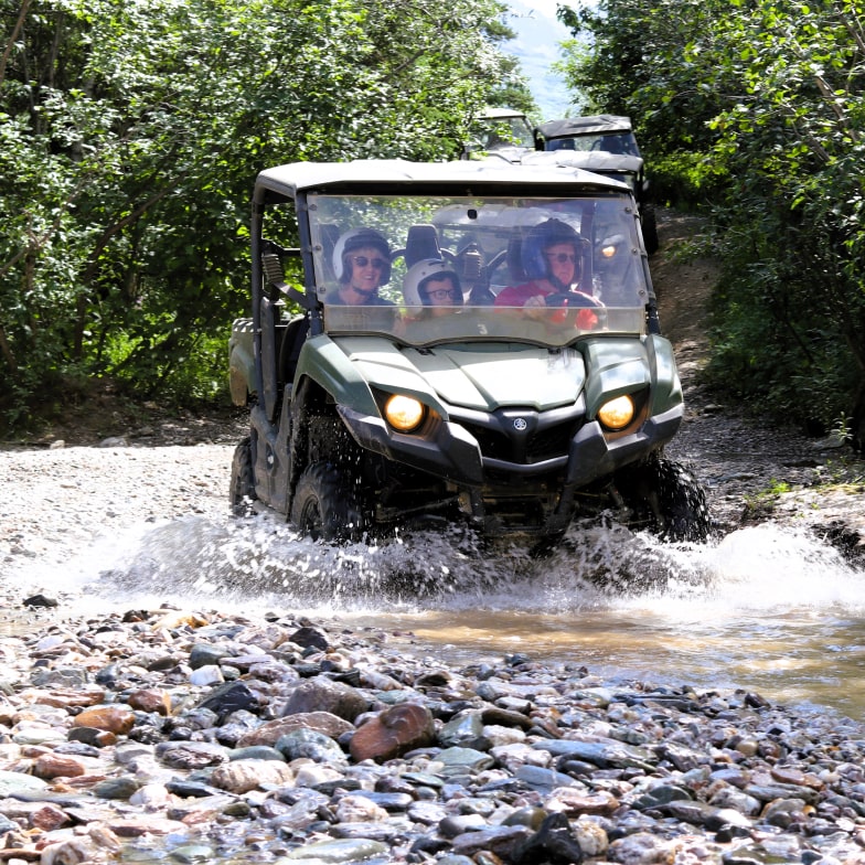 denali wilderness tour