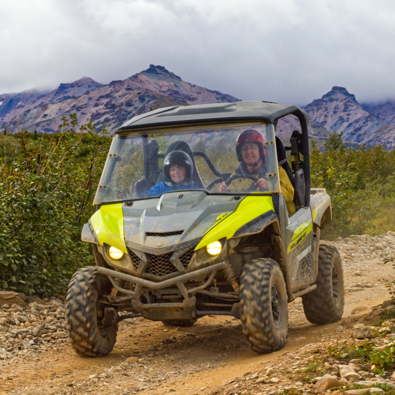 denali wilderness tour