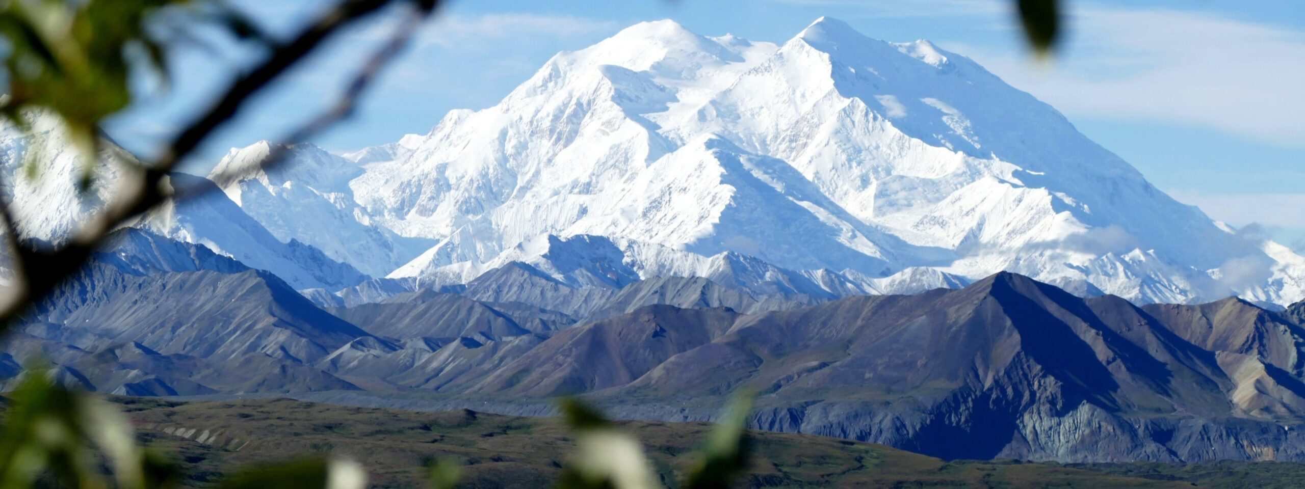 Denali National Park travel guide
