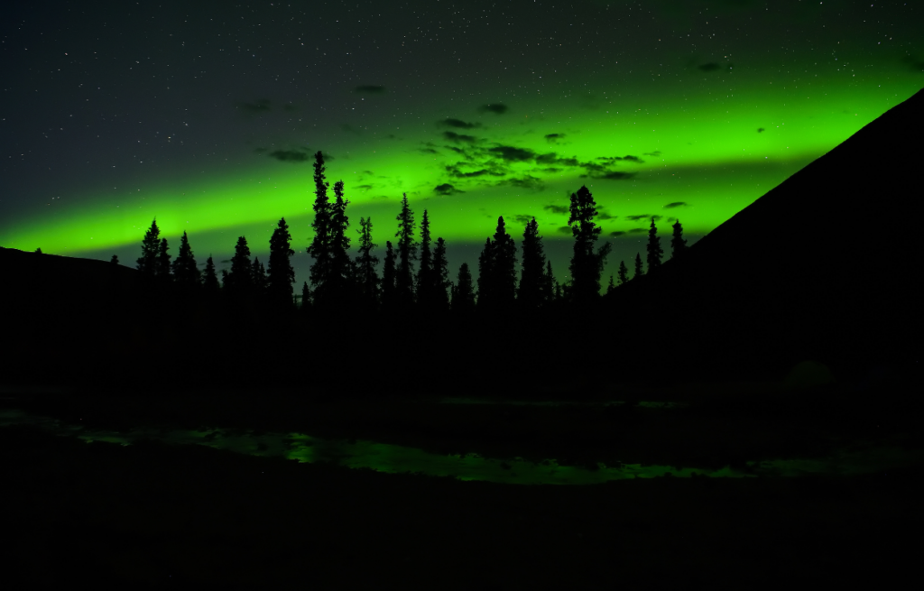 denali northern lights